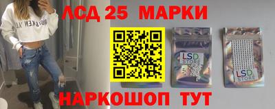 спиды Камышлов