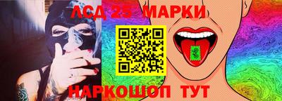 прущие грибы Кандалакша