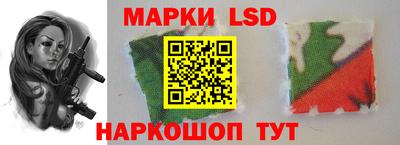 прущие грибы Кандалакша