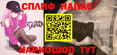 прущие грибы Кандалакша