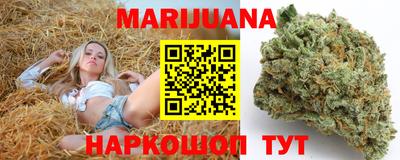 прущие грибы Кандалакша